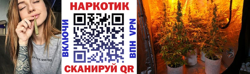 Купить закладку Дмитров Гашиш Alpha-PVP АМФ Марихуана Мефедрон