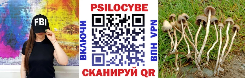 Галлюциногенные грибы мицелий Дмитров